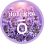 Massage Aromatouch